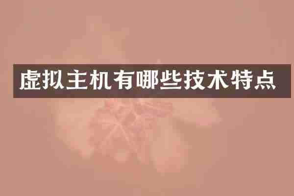 虚拟主机有哪些技术特点