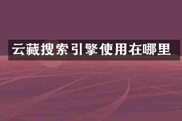 云藏搜索引擎使用在哪里
