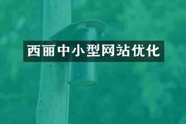 西丽中小型网站优化