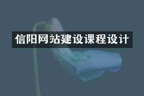 信阳网站建设课程设计