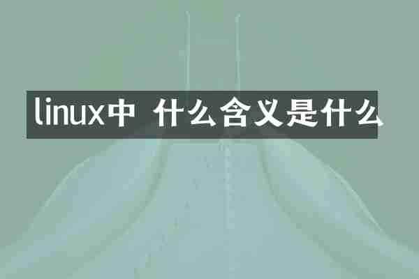 linux中 什么含义是什么