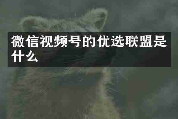 微信视频号的优选联盟是什么