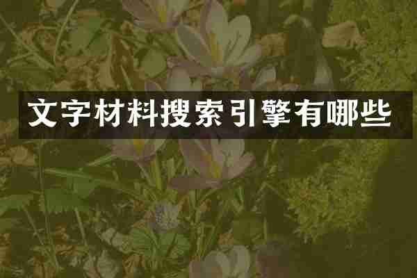 文字材料搜索引擎有哪些