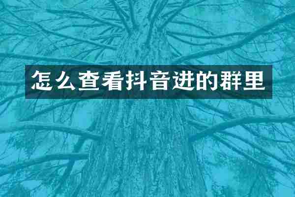 怎么查看抖音进的群里