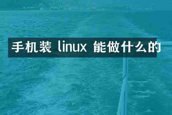 手机装 linux 能做什么的