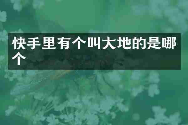 快手里有个叫大地的是哪个