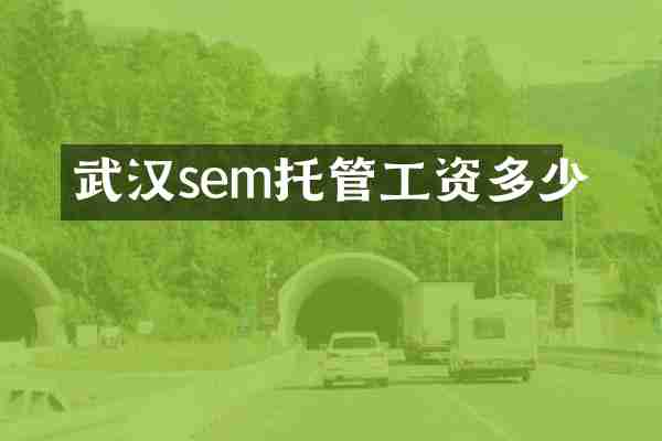 武汉sem托管工资多少