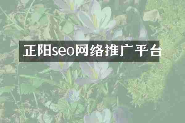 正阳seo网络推广平台