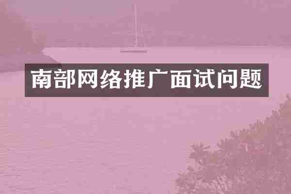 南部网络推广面试问题