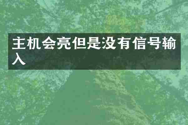 主机会亮但是没有信号输入