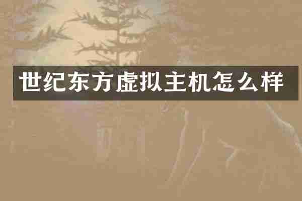 世纪东方虚拟主机怎么样