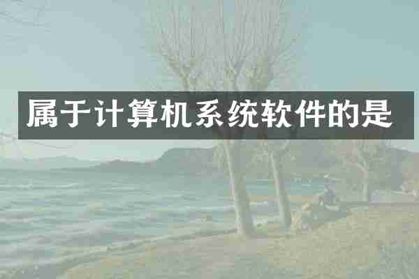 属于计算机系统软件的是