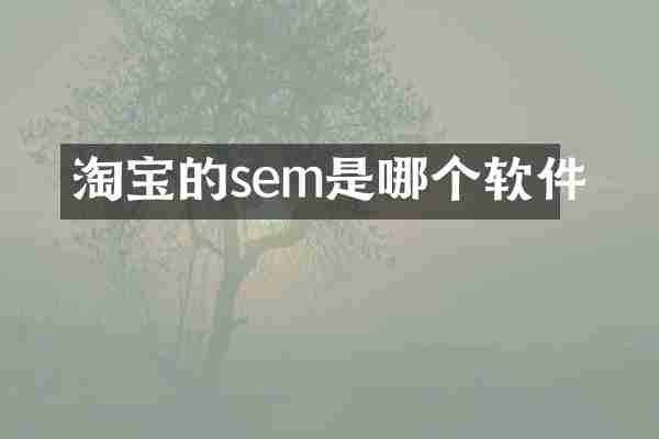 淘宝的sem是哪个软件