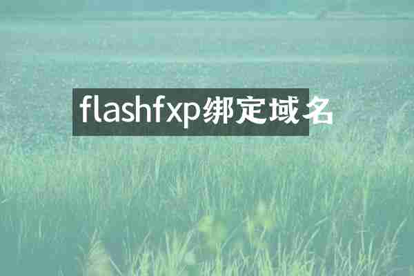 flashfxp绑定域名