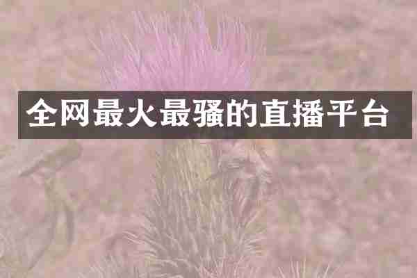 全网最火最骚的直播平台