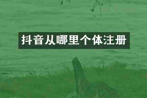 抖音从哪里个体注册