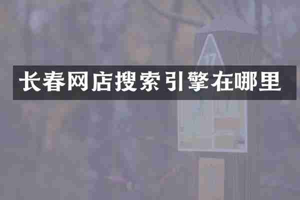 长春网店搜索引擎在哪里