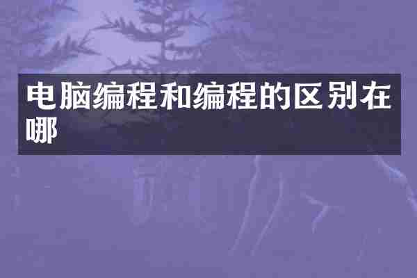 电脑编程和编程的区别在哪