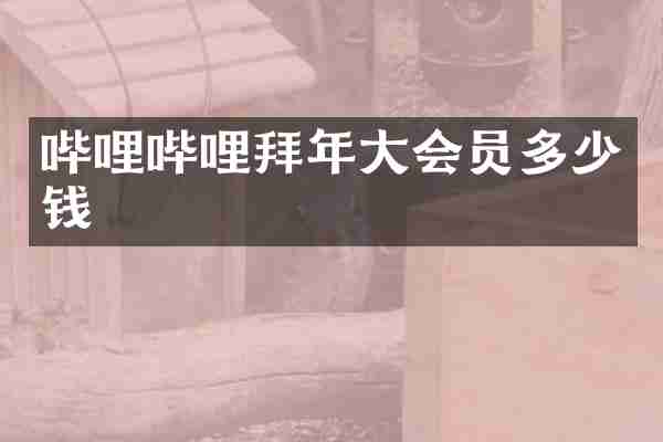哔哩哔哩拜年大会员多少钱