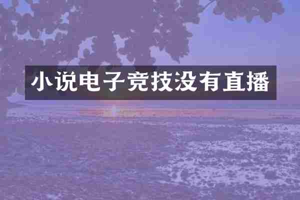 小说电子竞技没有直播
