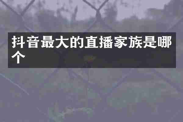 抖音最大的直播家族是哪个