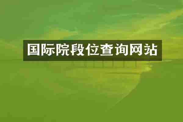 国际院段位查询网站
