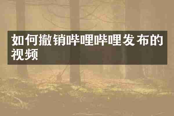 如何撤销哔哩哔哩发布的视频