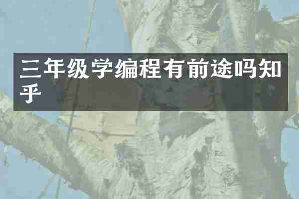 三年级学编程有前途吗知乎