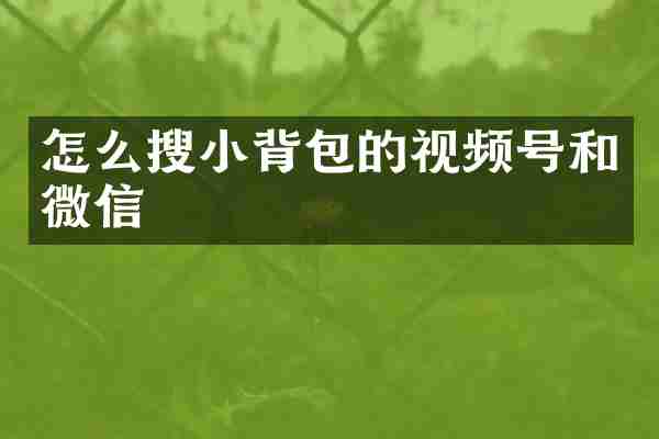 怎么搜小背包的视频号和微信