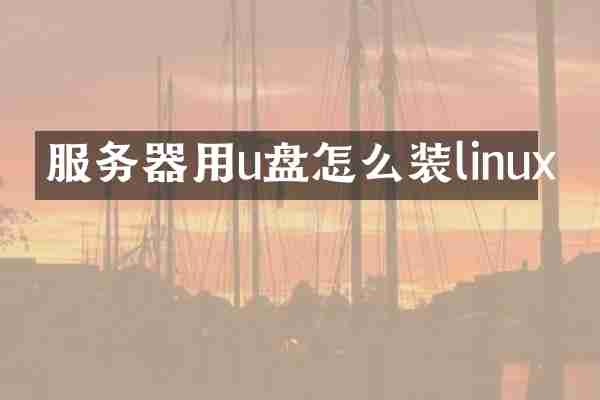 服务器用u盘怎么装linux