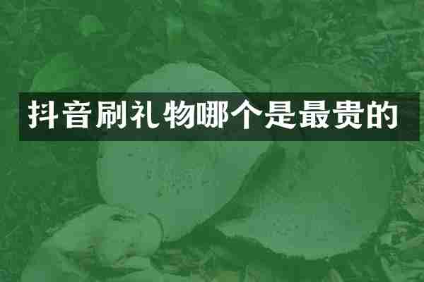 抖音刷礼物哪个是最贵的