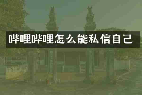 哔哩哔哩怎么能私信自己