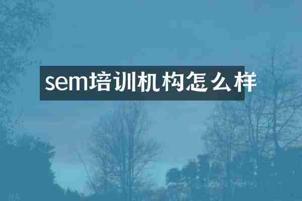 sem培训机构怎么样