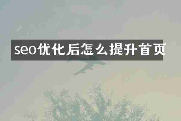 seo优化后怎么提升首页