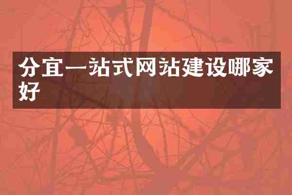 分宜一站式网站建设哪家好