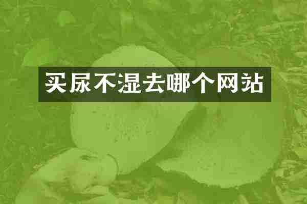 买尿不湿去哪个网站
