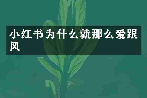 小红书为什么就那么爱跟风