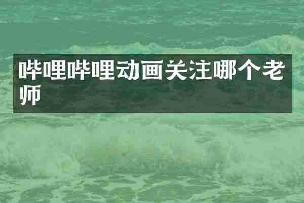 哔哩哔哩动画关注哪个老师