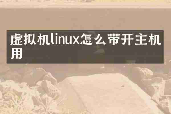 虚拟机linux怎么带开主机应用