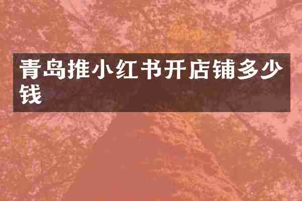青岛推小红书开店铺多少钱