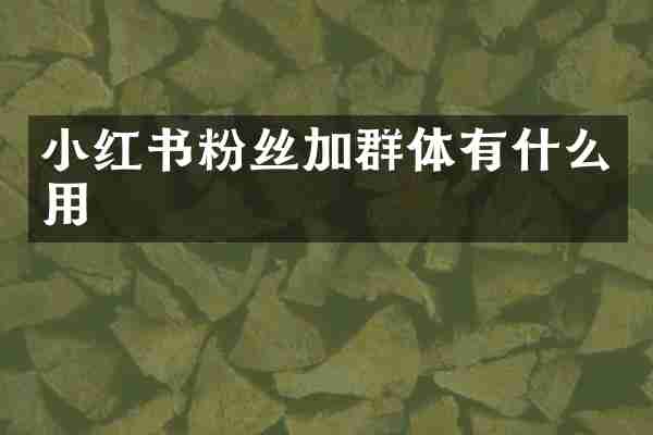 小红书粉丝加群体有什么用