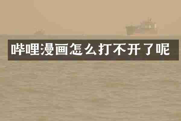 哔哩漫画怎么打不开了呢