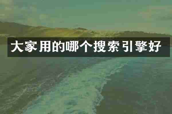 大家用的哪个搜索引擎好