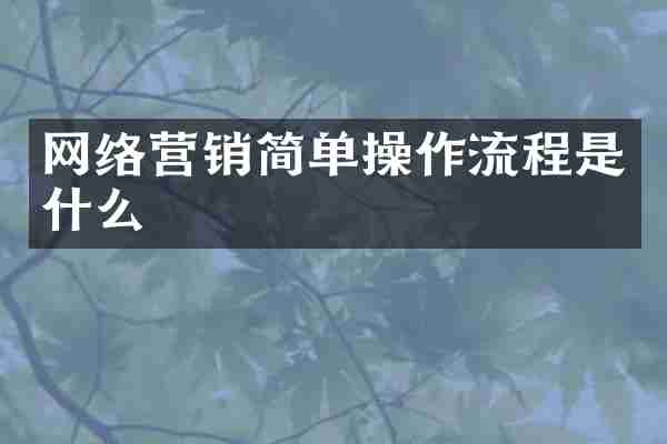 网络营销简单操作流程是什么