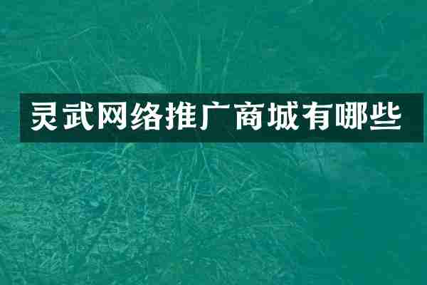 灵武网络推广商城有哪些