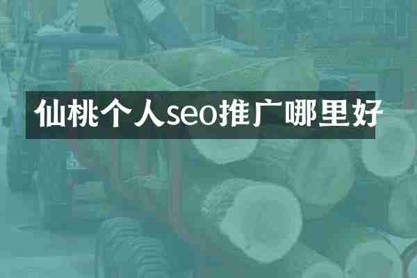 仙桃个人seo推广哪里好