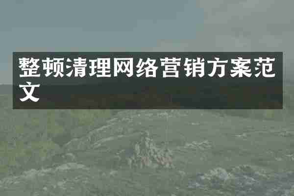 整顿清理网络营销方案范文