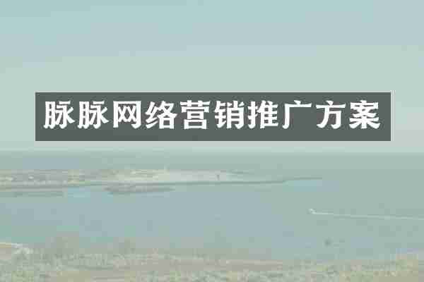 脉脉网络营销推广方案