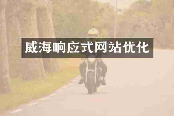 威海响应式网站优化