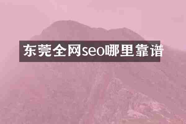 东莞全网seo哪里靠谱